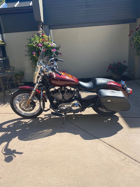 Harley Davidson Sportster for Sale in Street, Cruisers & Choppers in Tricities/Pitt/Maple - Image 3