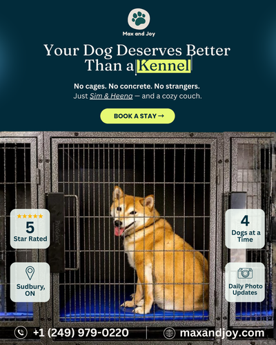 Max and Joy — Greater Sudbury's Home-Based Pet Care We offer professional dog boarding, dog walking,...