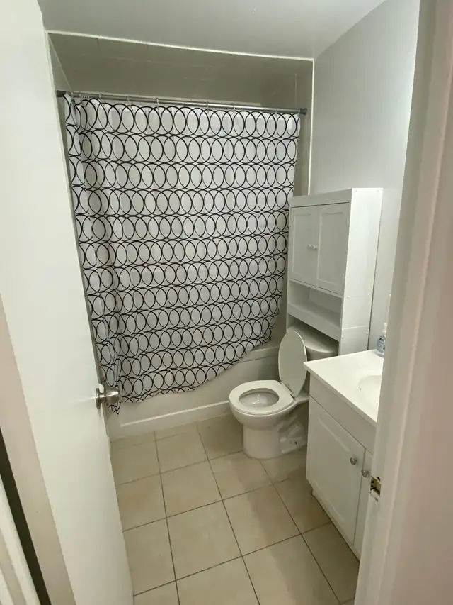 Room for Rent - Erindale/Mississauga (UTM) - Nov 1 in Room Rentals & Roommates in Mississauga / Peel Region - Image 7