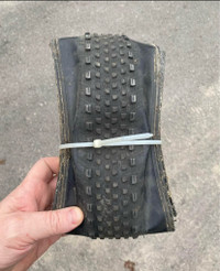 Specialized Renegade 29x1.95 Tire
