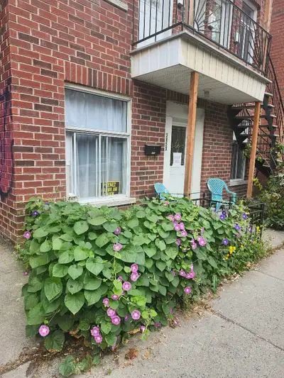 Large (120sq ft) furnished room for rent, in Hochelaga-Maisonneuve, (Pie IX & Ontario east area) for...