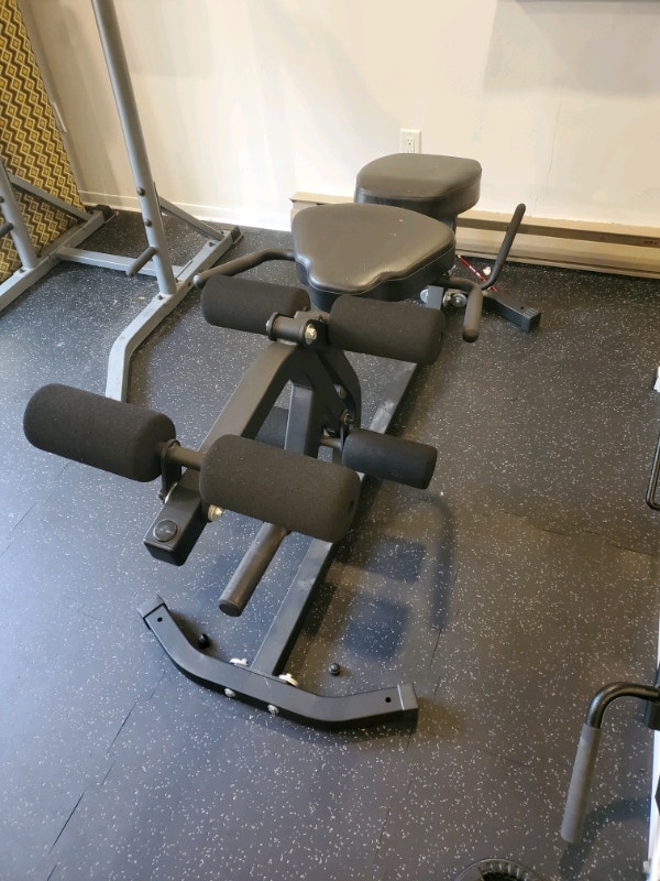 Northern lights leg extension/leg curl bench Exercise Equipment