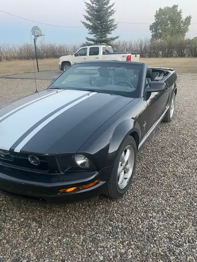 REDUCED 2007 Mustang Convertible 