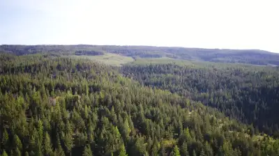 Escape to Your Own 80-Acre Paradise – Where Off-Grid Living Meets Natural Beauty Discover the ultima...