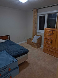 Room rental house Edmonton South