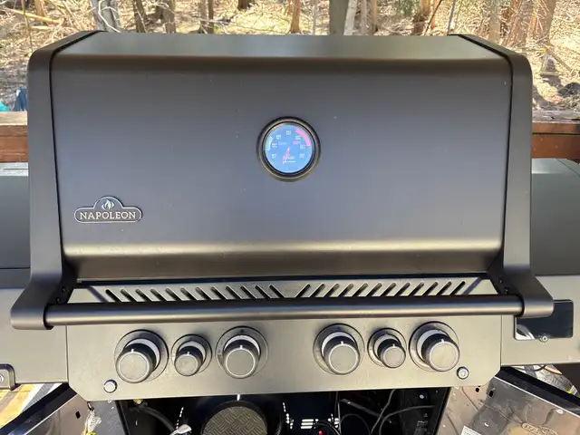 Napolean bbq in BBQs & Outdoor Cooking in Barrie - Image 10