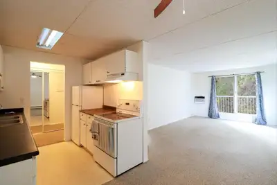 PENTICTON Available immediately or Feb 1st Large apartment Cat friendly, may consider a small dog. A...