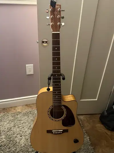 Acoustic Guitar, View more