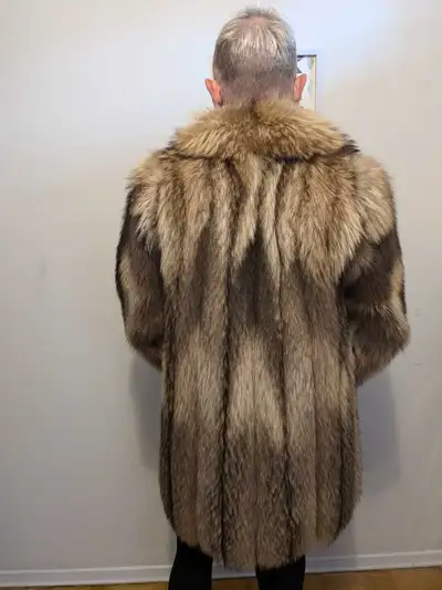 Coyote Fur, View more