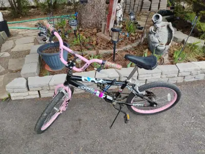 20 inch Will's bike , View more