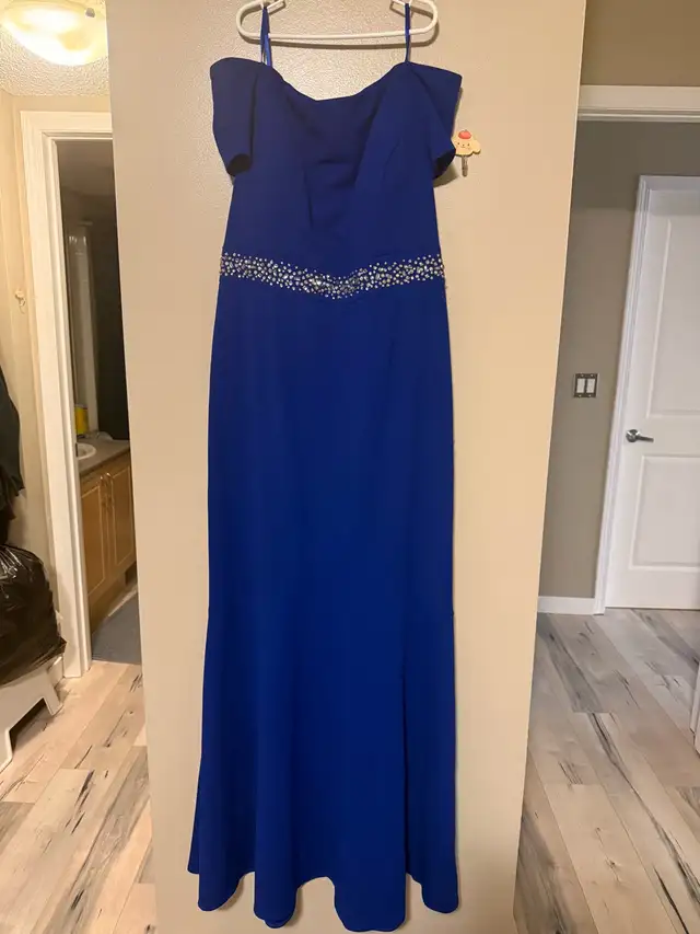 Plus Size Blue Formal Dress