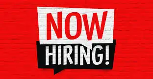 We are Hiring for E-Commerce and Admin Assistant Job in Customer Service in City of Toronto - Image 2