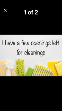 Elsies Cleaning Services/organization