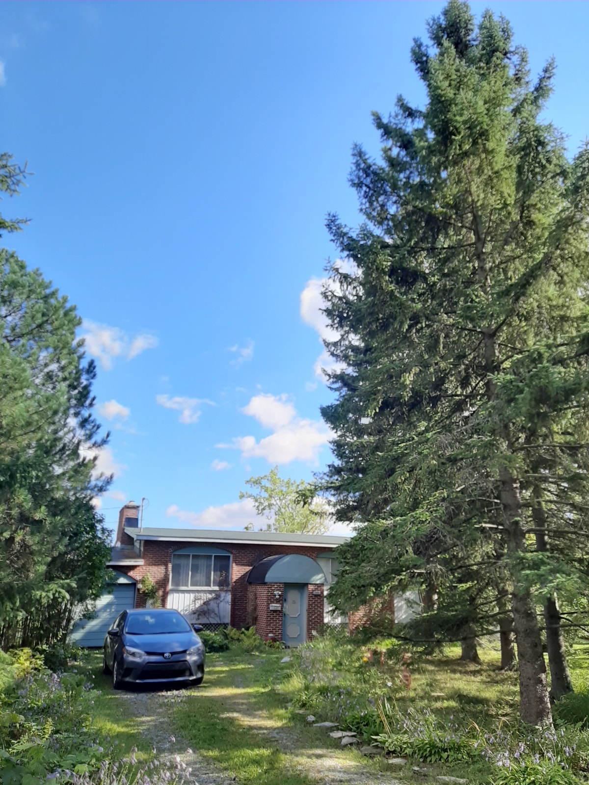 RARE BORD de L'EAU,dans BASSIN CHAMBLY, Carignan, île Goyer — photo 1