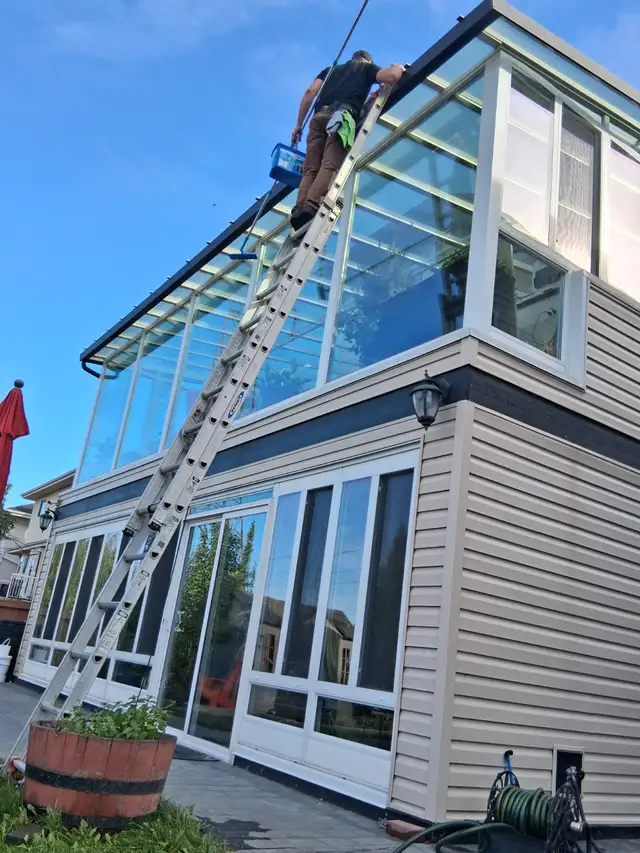 Window Cleaning - Window Washing444703041976412162