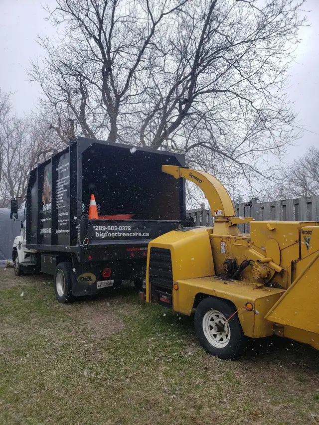 Tree Services 548407788847779848