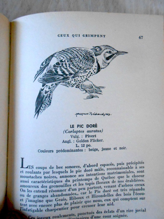 2 Vieux Livres Observation des Oiseaux - Ornithologie dans Manuels  à Sherbrooke - Image 3