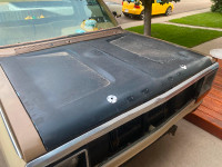 Dodge truck birdbath hood