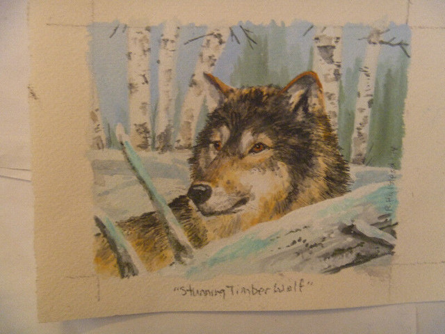 More Timber Wolf ORIGINAL ART - various sizes in Arts & Collectibles in Winnipeg - Image 2