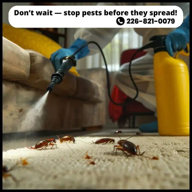✆ 226-821-0079 Pest Control – Serving the GTA in Cleaners & Cleaning in Mississauga / Peel Region - Image 5