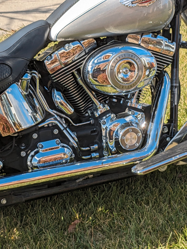 2009 Harley Davidson softail deluxe in Street, Cruisers & Choppers in Barrie - Image 3