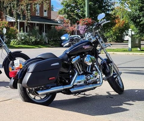 2015 Harley-Davidson sportster super low custom xl1200t in Other in Ottawa - Image 3