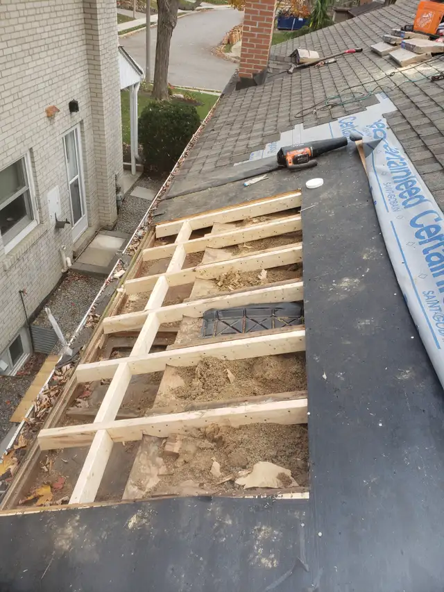 Handyman/eaves cleaning530755415893626883