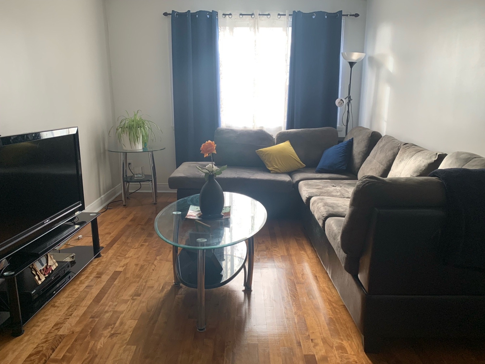 Grand logement Montréal — photo 2