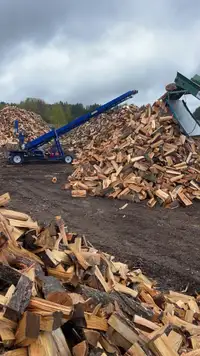 Cut and Split Firewood