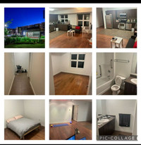 Start from 1st Sep2025, apartment 2 bed 2 bath at Lindenwood