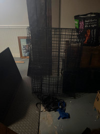 Large dog crate and assorted leashes