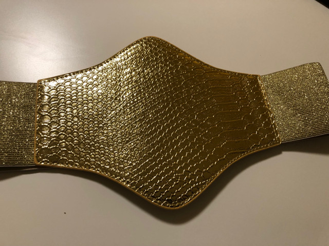 Women’s Shein gold snakeskin embossed corset belt (medium) $10 in Costumes in Kingston - Image 2