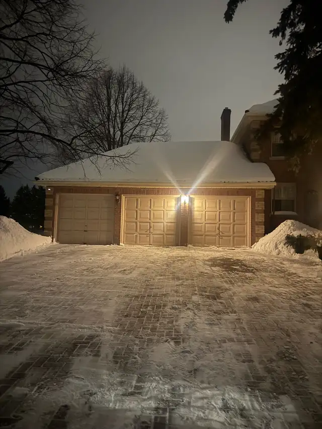 SNOW REMOVAL65415156472194120