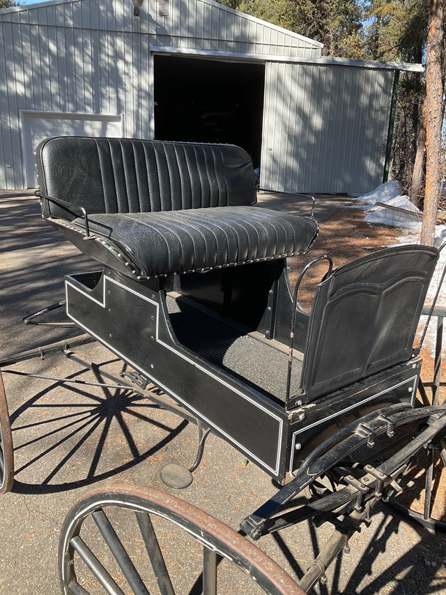 Single light horse buggy for sale in Equestrian & Livestock Accessories in Prince Albert - Image 3