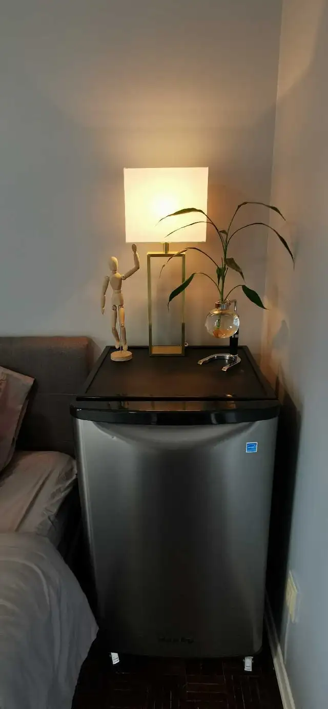 1br - 156ft2 - Fully Furnished Private Room in Downtown in Room Rentals & Roommates in City of Toronto - Image 6