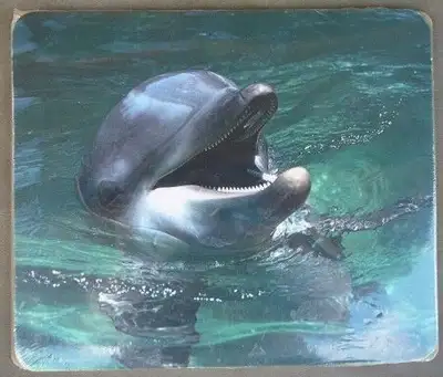 Mousepad, sea life mouse pad,dolphin,sea otter mouse-pad,sealife, View more