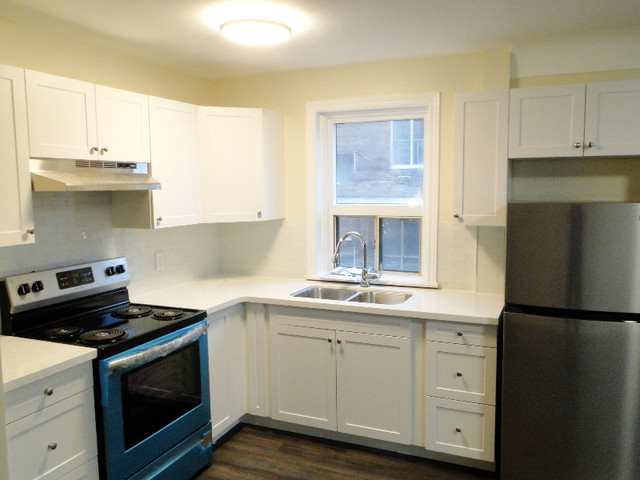 Studio apartment now available! $1,249 in Long Term Rentals in Hamilton - Image 2