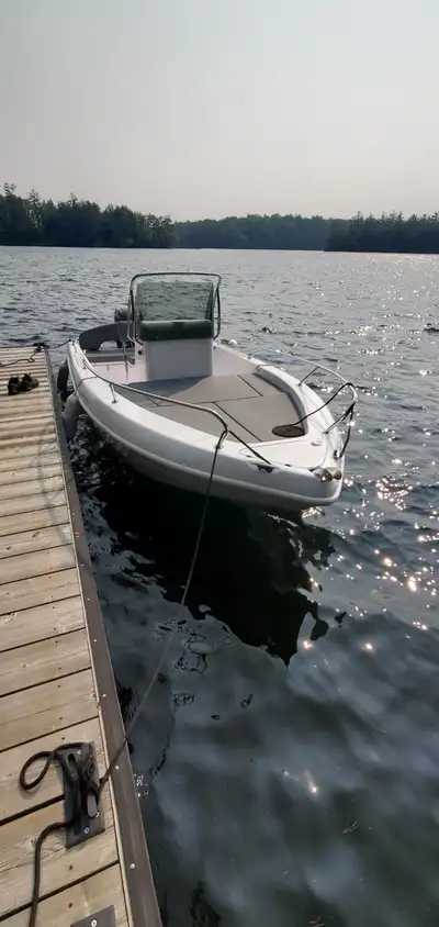 2019 Capelli freedom 16 in great condition. 60 HP Mercury engine with low hours. Always boathouse st...