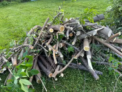 free wood, View more