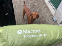 Marmot tungsten 3 person ultra light tent 