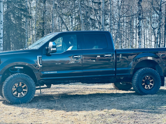 2019 platinum  in Cars & Trucks in Red Deer - Image 2