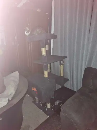 Very Large Cat Tree - Well Loved, View more