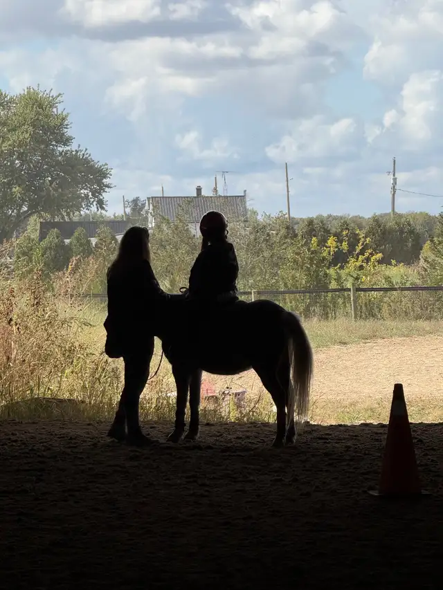 Beginner Horse Riding Lessons64141876798593121