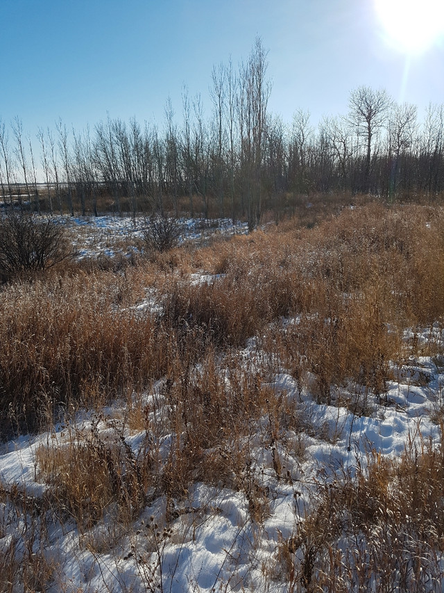 Acreage near Reston Land for Sale Brandon Kijiji