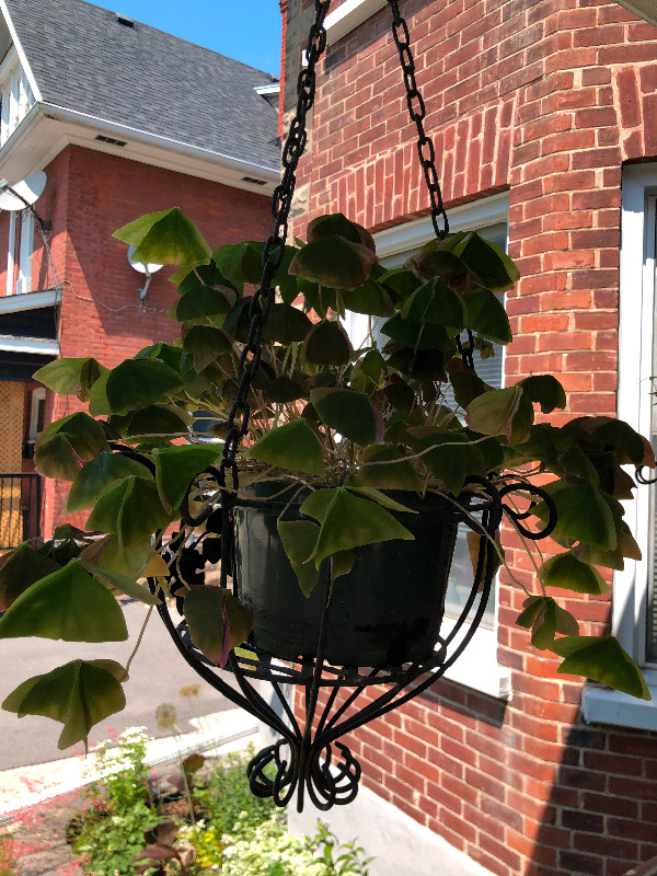 Hanging Flower Baskets/Planters in Outdoor Décor in Peterborough - Image 2