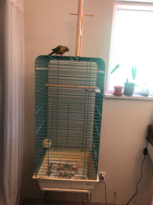 Large teal bird cage- Hagen-make an offer in Accessories in Sunshine Coast