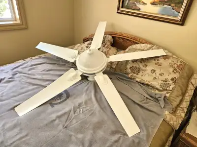 55" Ceiling Fan & light, View more