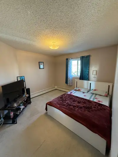 Room available for rent