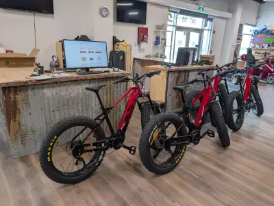 Massive sale on two IGO models. Top of the line specs, great features and performance. Specs unlike...