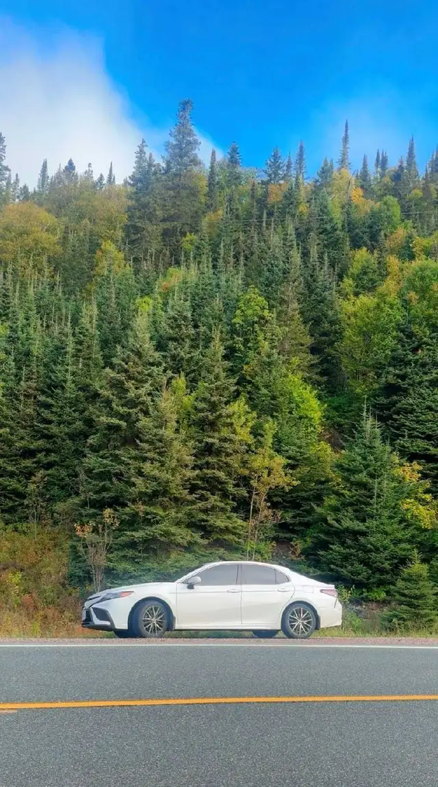 Ride share in British Columbia in Canada - Image 4